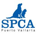 SPCA Puerto Vallarta